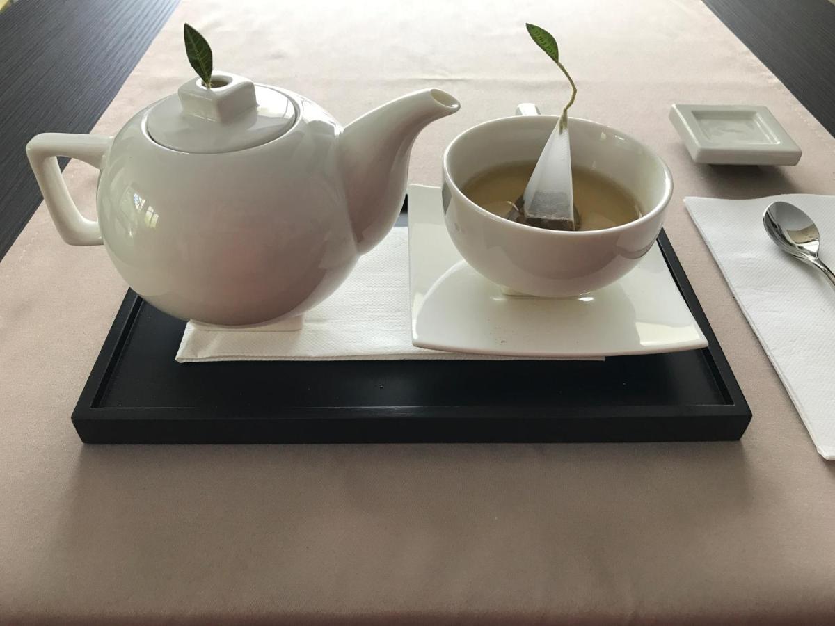 Hotel Alex Galaţi エクステリア 写真